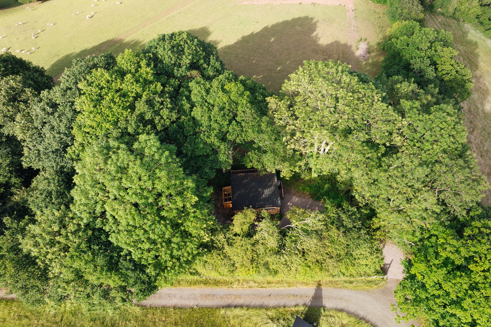 Open countryside surrounding Kerry's Gate Cabin